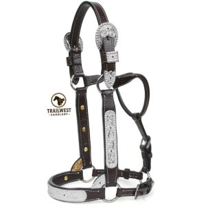 Fall Yearling Halter 114B